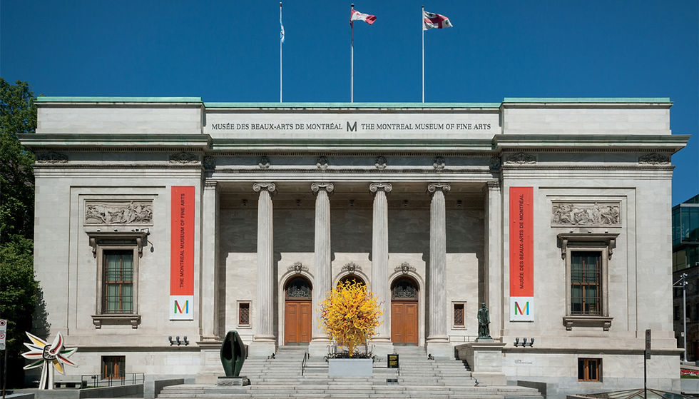 Visite au Musée des Beaux-Arts