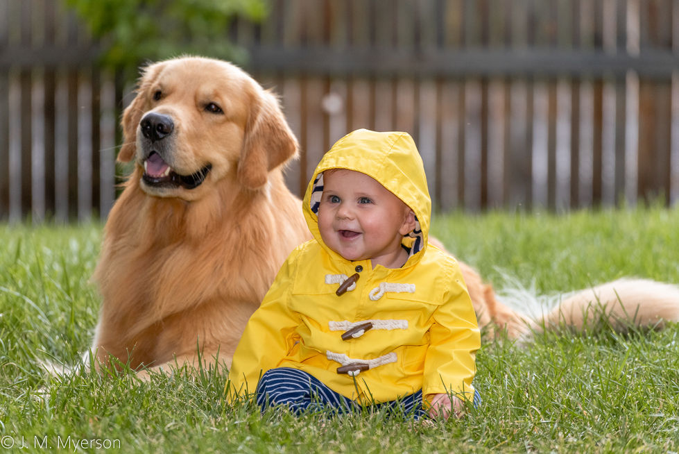 a baby in a yellow jacket sits next to a dog