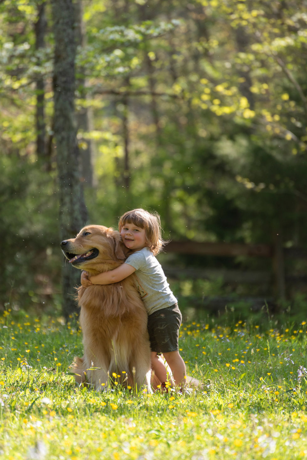 a little girl hugging a dog in a field of flowers