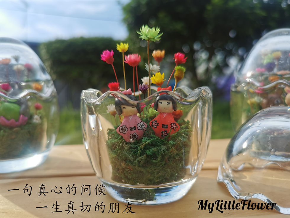 Thumbnail: Small Egg Shell