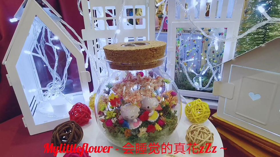 Thumbnail: Big Pudding Bottle glassland (normal) 大布丁草地(普通）