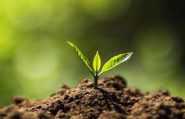 Invitation to Nourishment