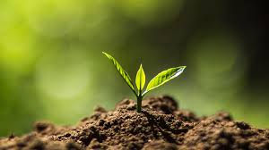 Invitation to Nourishment