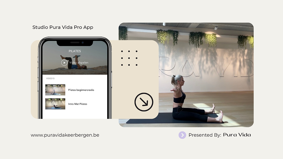 pro app.png