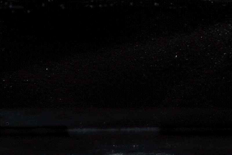 halo-water-shows