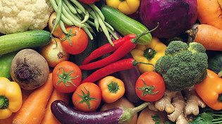 AdobeStock_121181606.jpeg