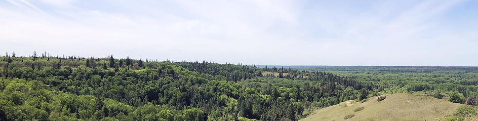 Calgary-Crescent-Heights-Lookout-Point-b