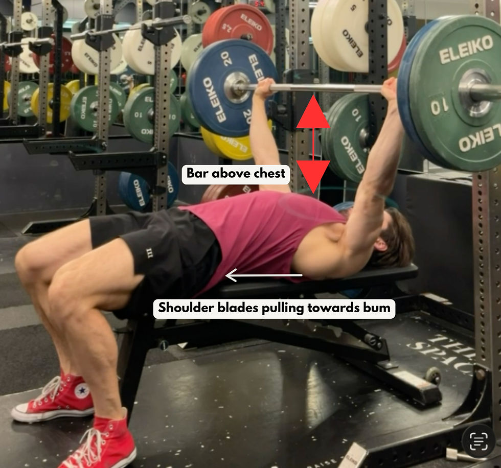 Man bench pressing in a gym with colorful Eleiko plates; labels read Bar above chest and Shoulder blades pulling towards bum.