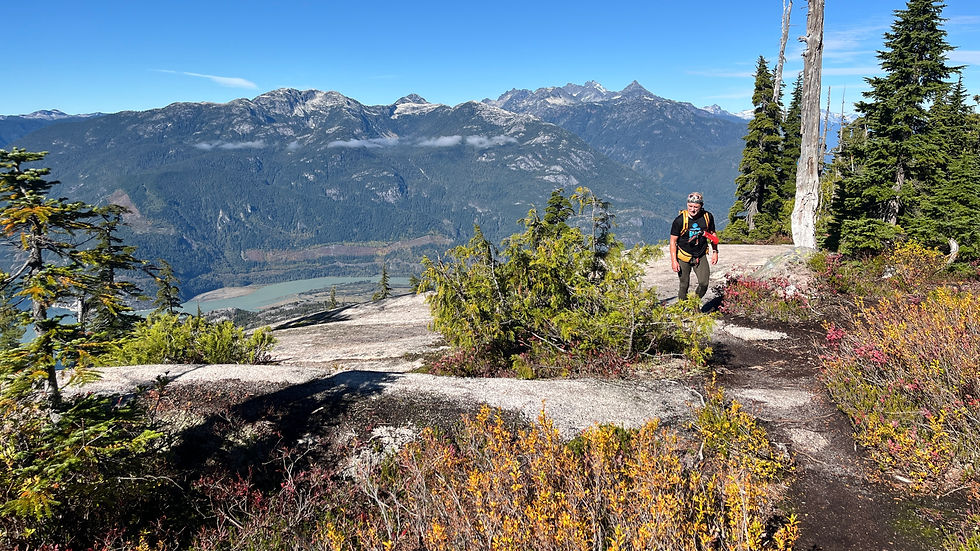 Hiker on a rocky alpine trail with evergreens, overlooking a blue mountain range and valley under a clear sky.