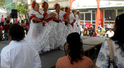 Foto: Contextus México