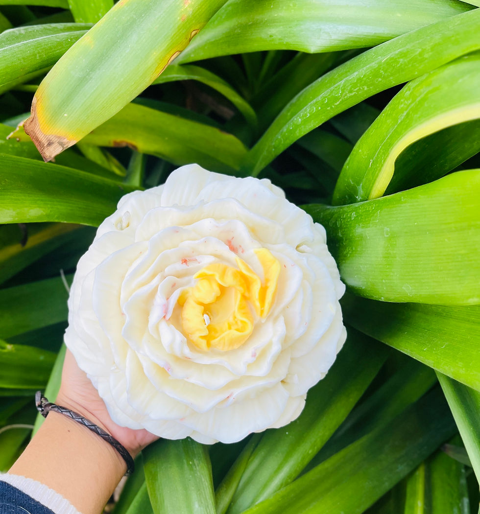 Thumbnail: BIG PEONY