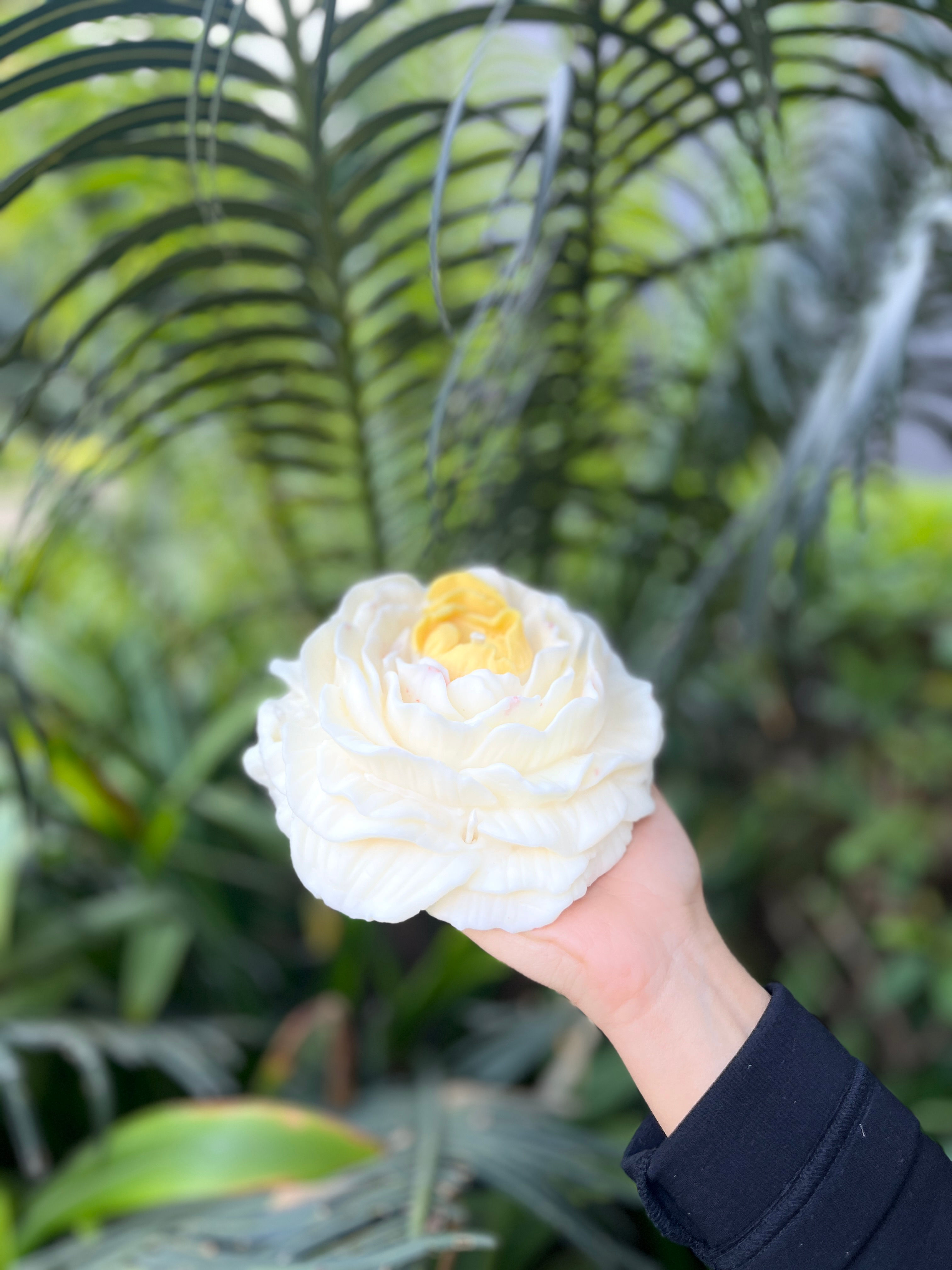BIG PEONY