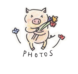 ©Maki Wakabayashi 2025