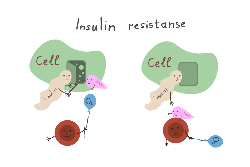 How Does Too Much Insulin Drive Obesity and Disease?