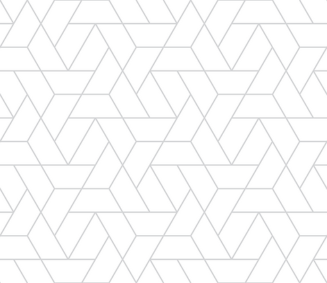 Geometric Vector Pattern.png