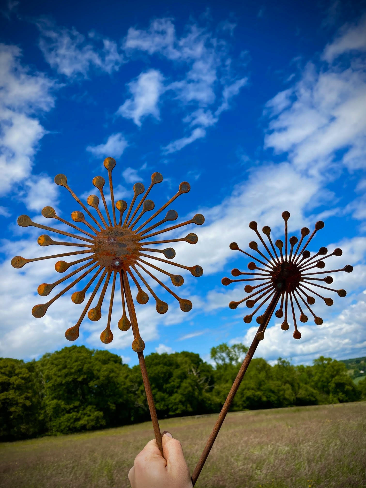 Allium Flower Rustic Rusty Garden Art Yard Art Present Gift Idea