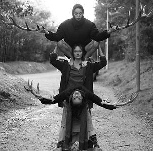 faune-libertivore-VERTICALE94 - copie.jpg