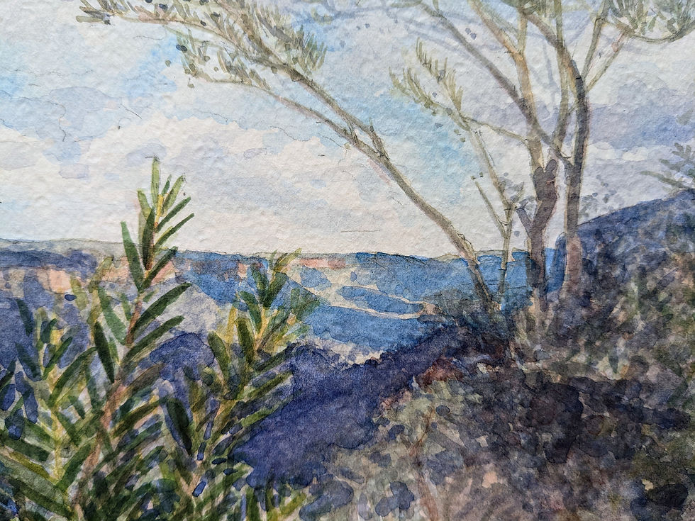 Thumbnail: View near Fitzroy Falls #2