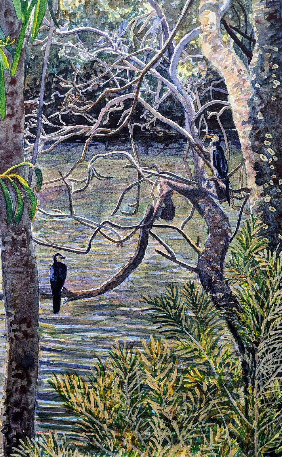 Thumbnail: Pair of Cormorants