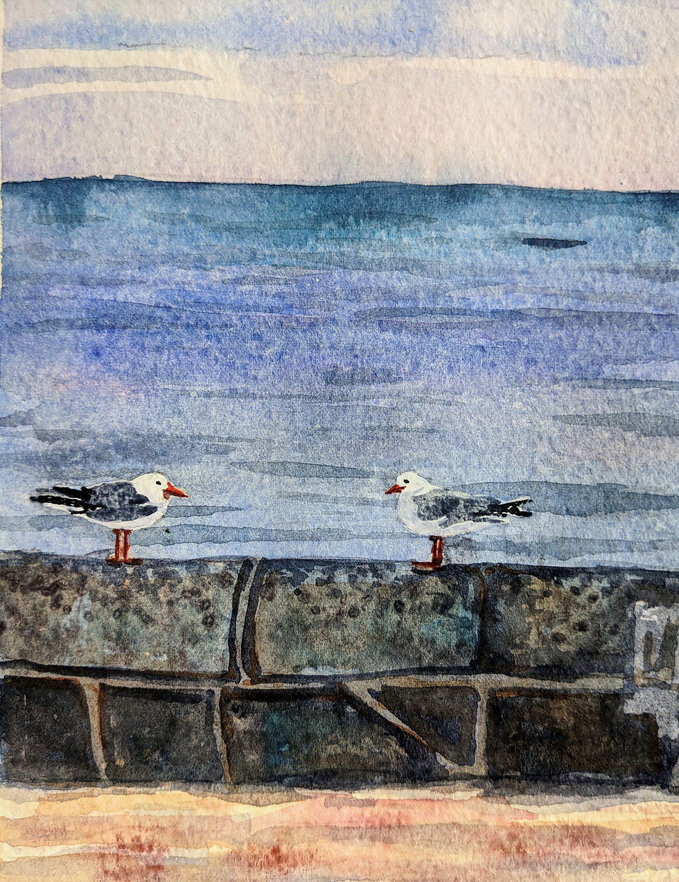 Thumbnail: Seagulls and Swans, Anthony's Nose, Dromana