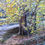 Thumbnail: Yarra in Autumn