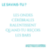 French Did You Know (5).png