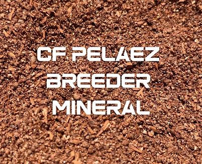 Gator Feed Productos (10).png