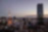 Blueberry_Giappone_Andrea Meloni_74.jpg