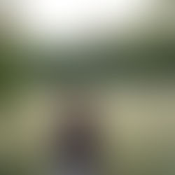 A Time of Reflection