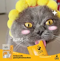 Cate-ขนมแมวเลีย_1.webp