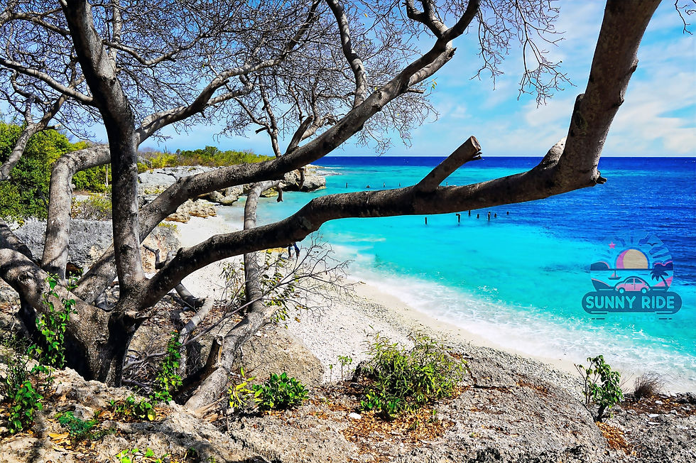 Best hidden beaches Curacao, Directors Bay