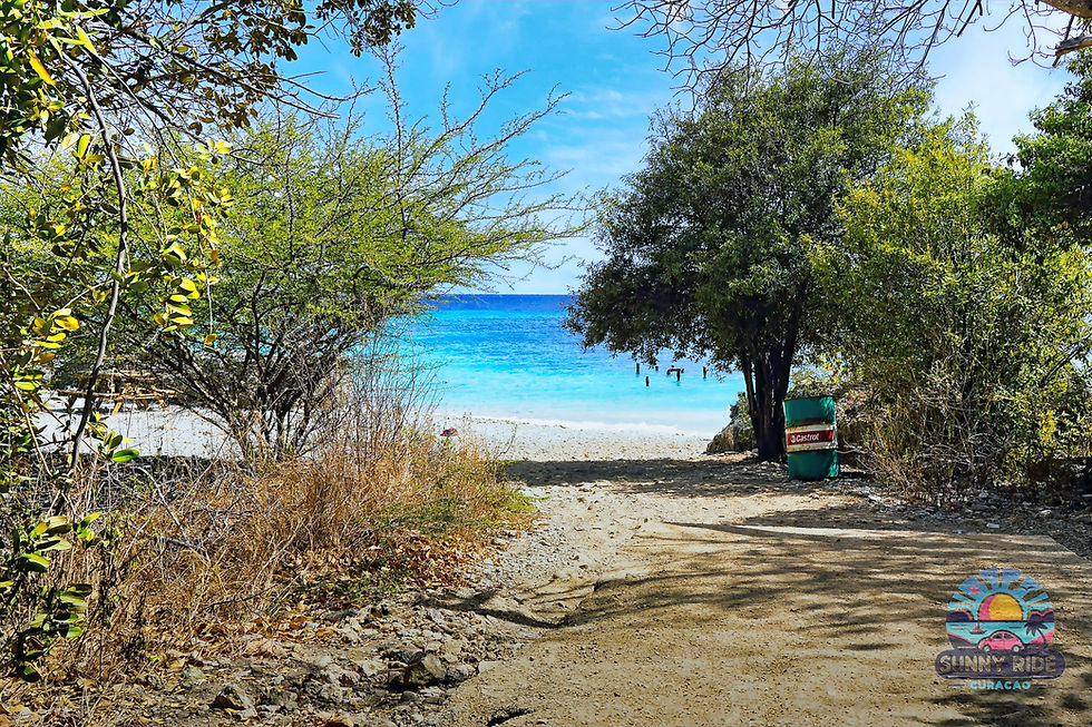 Top 10 best hidden beaches Curacao, Directors Bay a sight to be seen