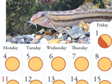 8月の開館日