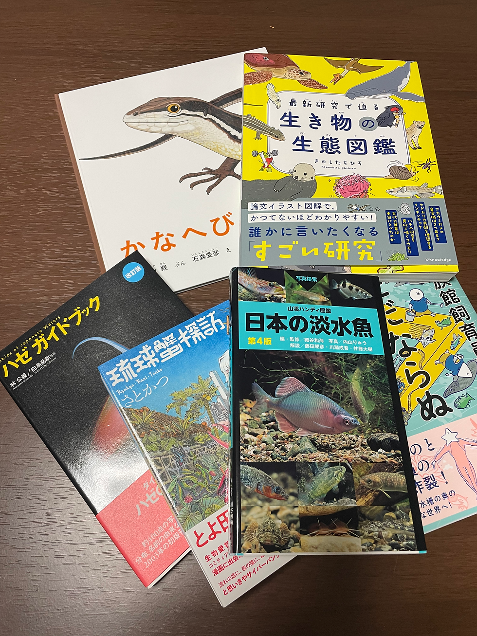 渡辺昌和さんより