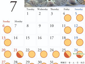 7月の開館日