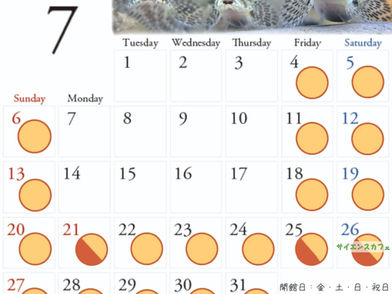 7月の開館日