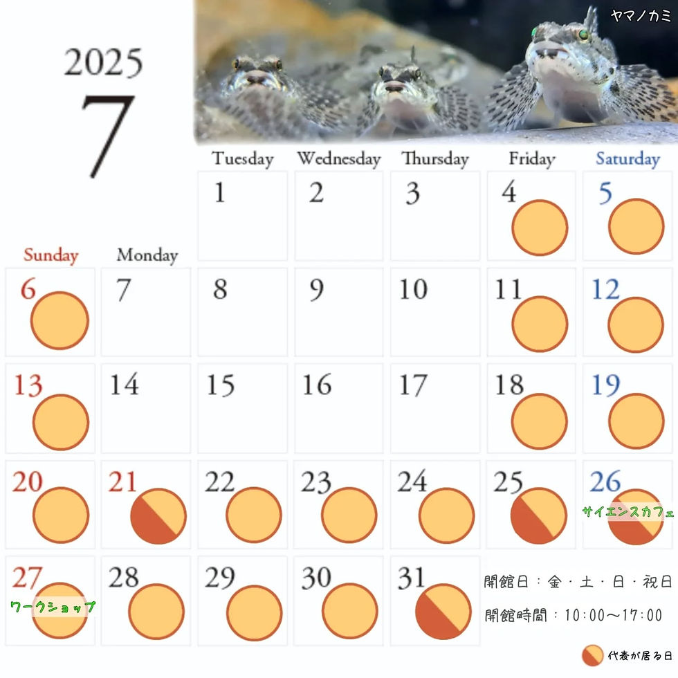 7月の開館日
