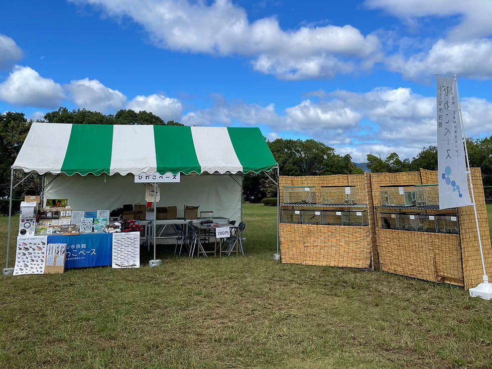 遊びと学びのたいけんフェアでの移動水族館終了です!