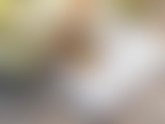 Level 1: Establishing Vows