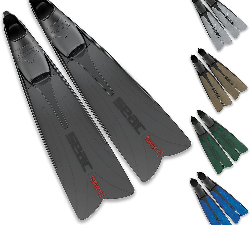 SEAC Talent Diving Fins, 9/10 (110003N)