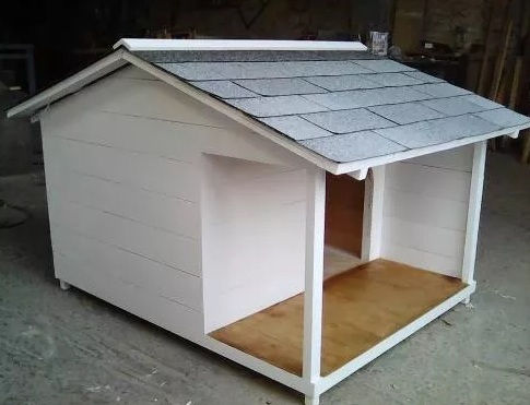 Casa Para Perro Terraza Lateral No 6 Techo Contra Lluvia