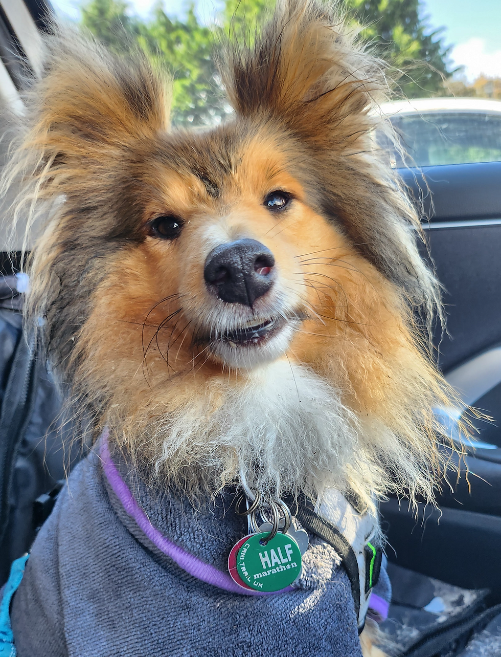 Cheese!