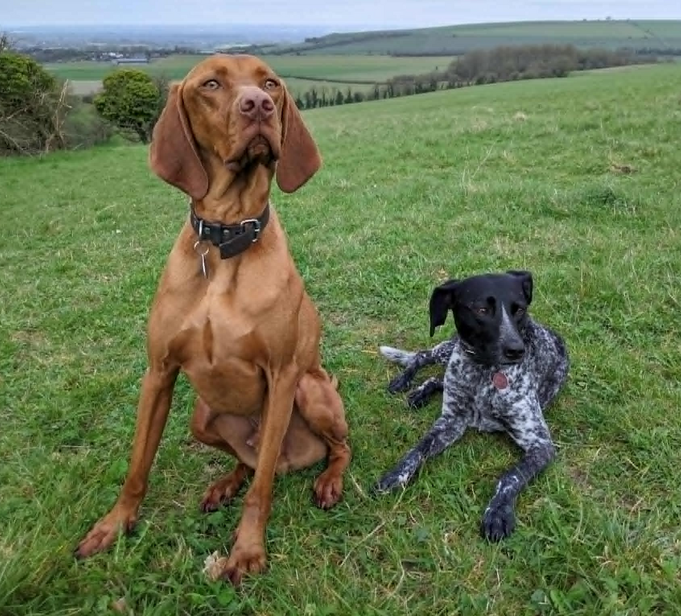 "My sister is bossy. I'm big, she's 'ickle, but I do as I'm told (mostly)."