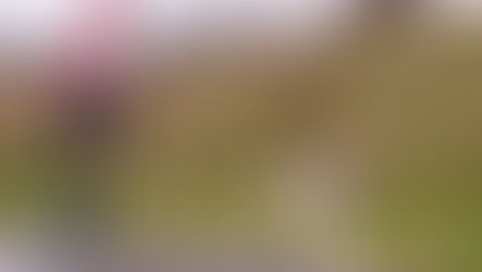 Tails, Trails and Triumphs          by Philip Bull