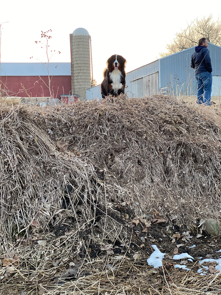 Learning how to move the land...