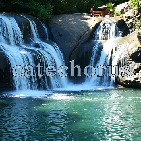 _catechorus_ in block letters above a waterfall, put catechorus in block letters in the mi