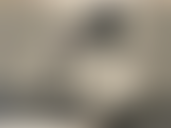 Como ingressei no Sistema ONU