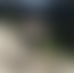 Reisetrends der Gen Z