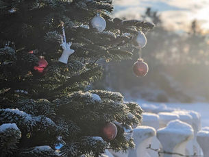 Berlin statt Bielefeld: Weihnachten in Berlin?