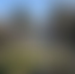 Ausblick auf Hotel mit Pool